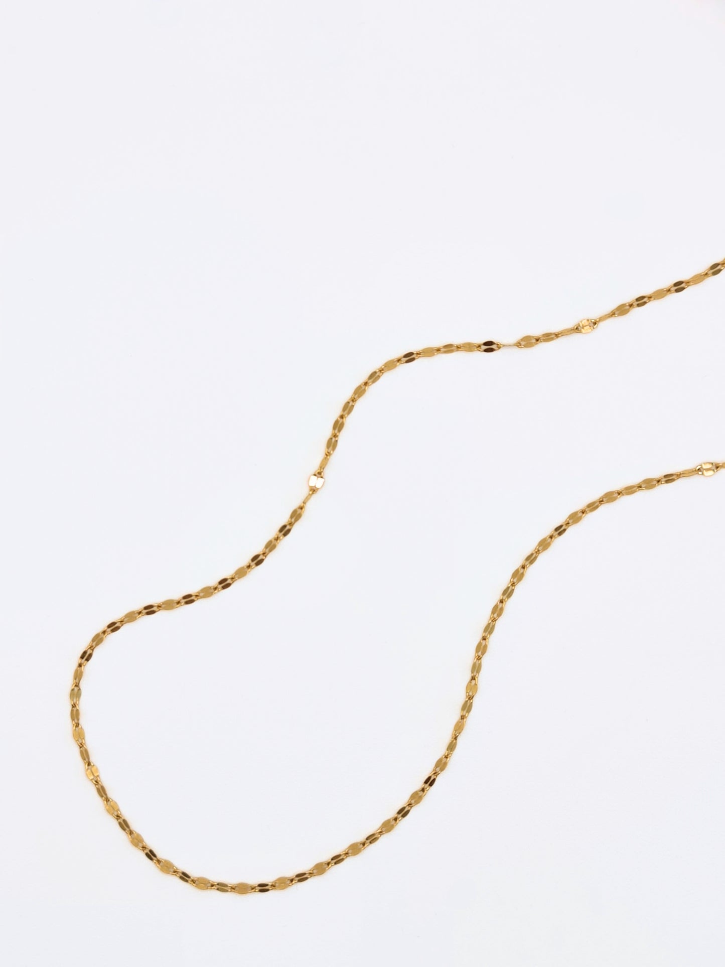 The Flora 18k Gold Plated Stainless Steel Delicate Textured Crimp Chain Necklace.