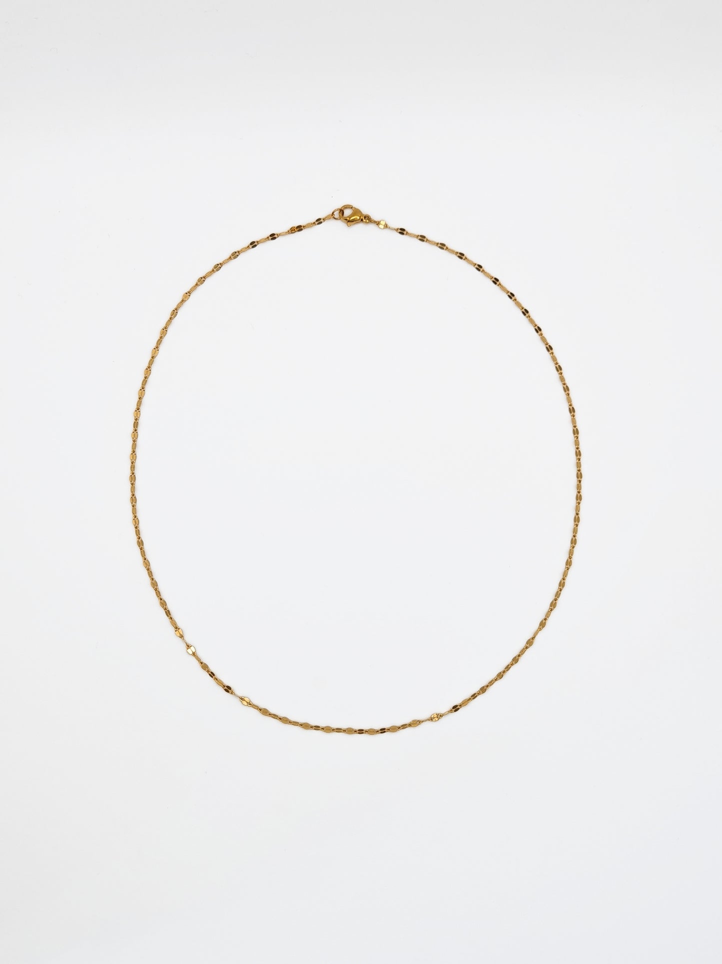 The Flora 18k Gold Plated Stainless Steel Delicate Textured Crimp Chain Necklace.