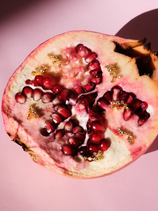 The Constellations Pisces 18k Gold Plated Stainless Steel Cubic Zirconia Ear Climber Zodiac Star Sign Cartilage Lobe Stud Earring.