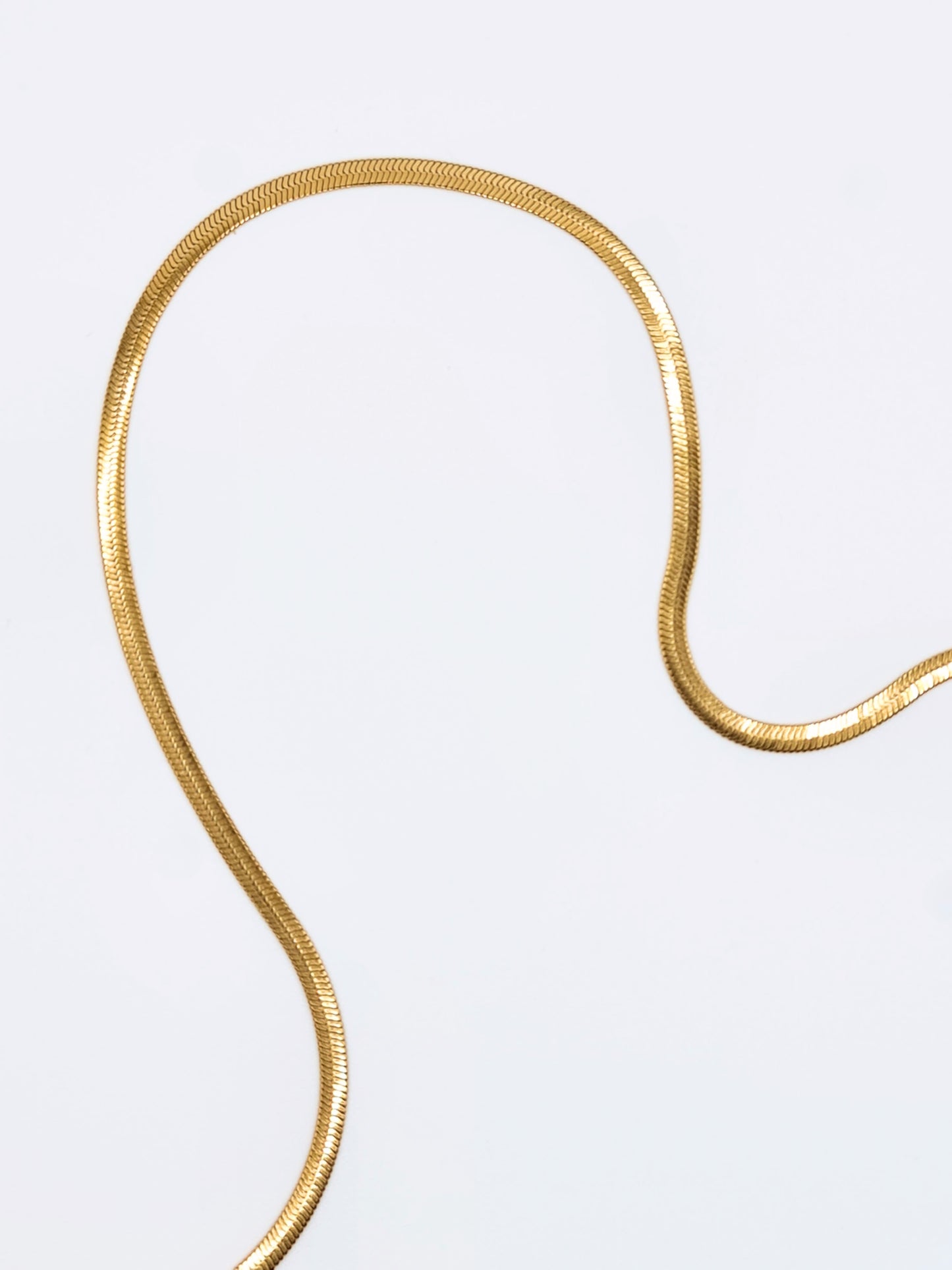 The Mamba Set 18k Gold Plated Stainless Steel Snake Chain Necklace and Bracelet Co-ord.