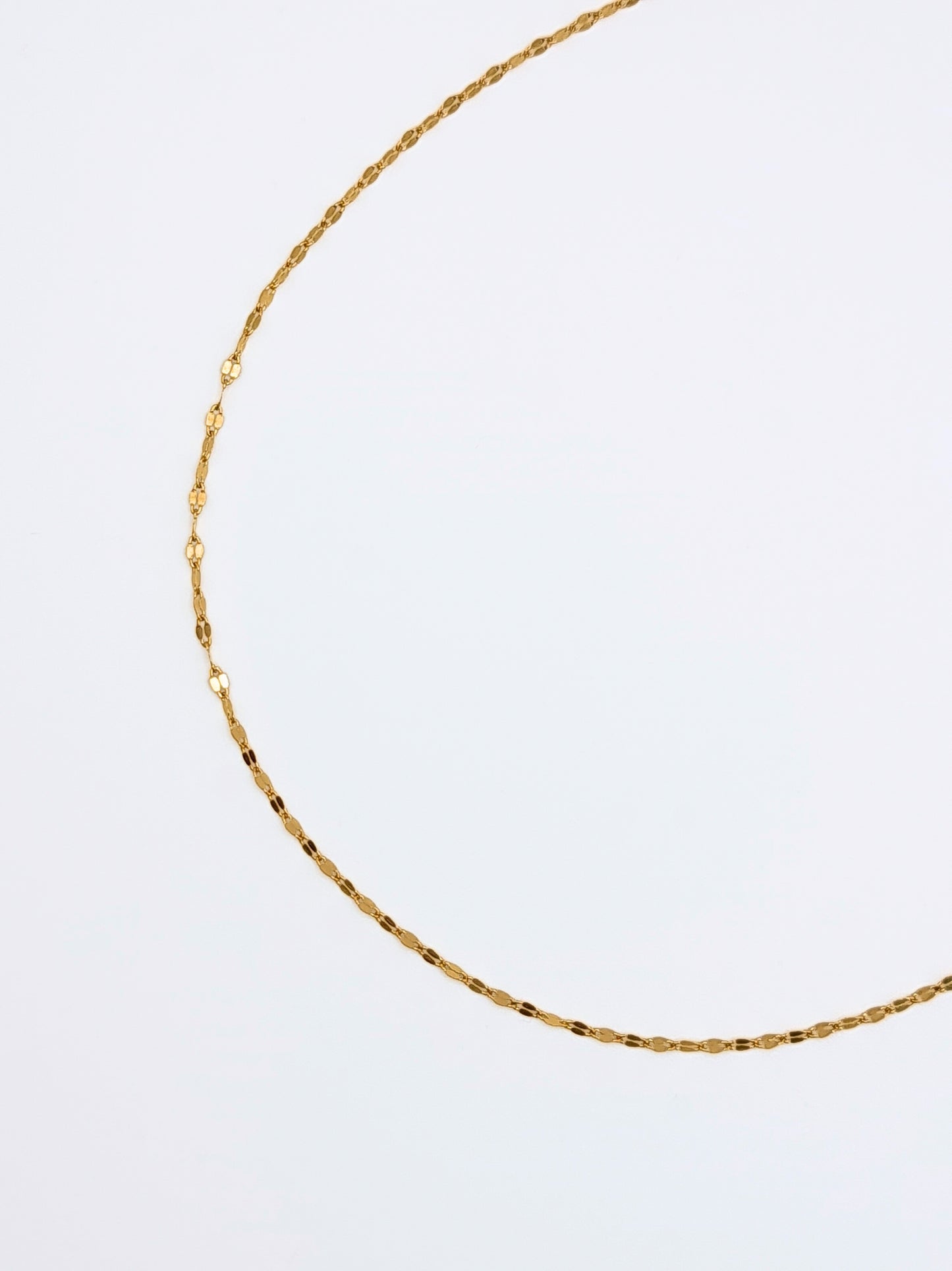 The Flora 18k Gold Plated Stainless Steel Delicate Textured Crimp Chain Necklace.