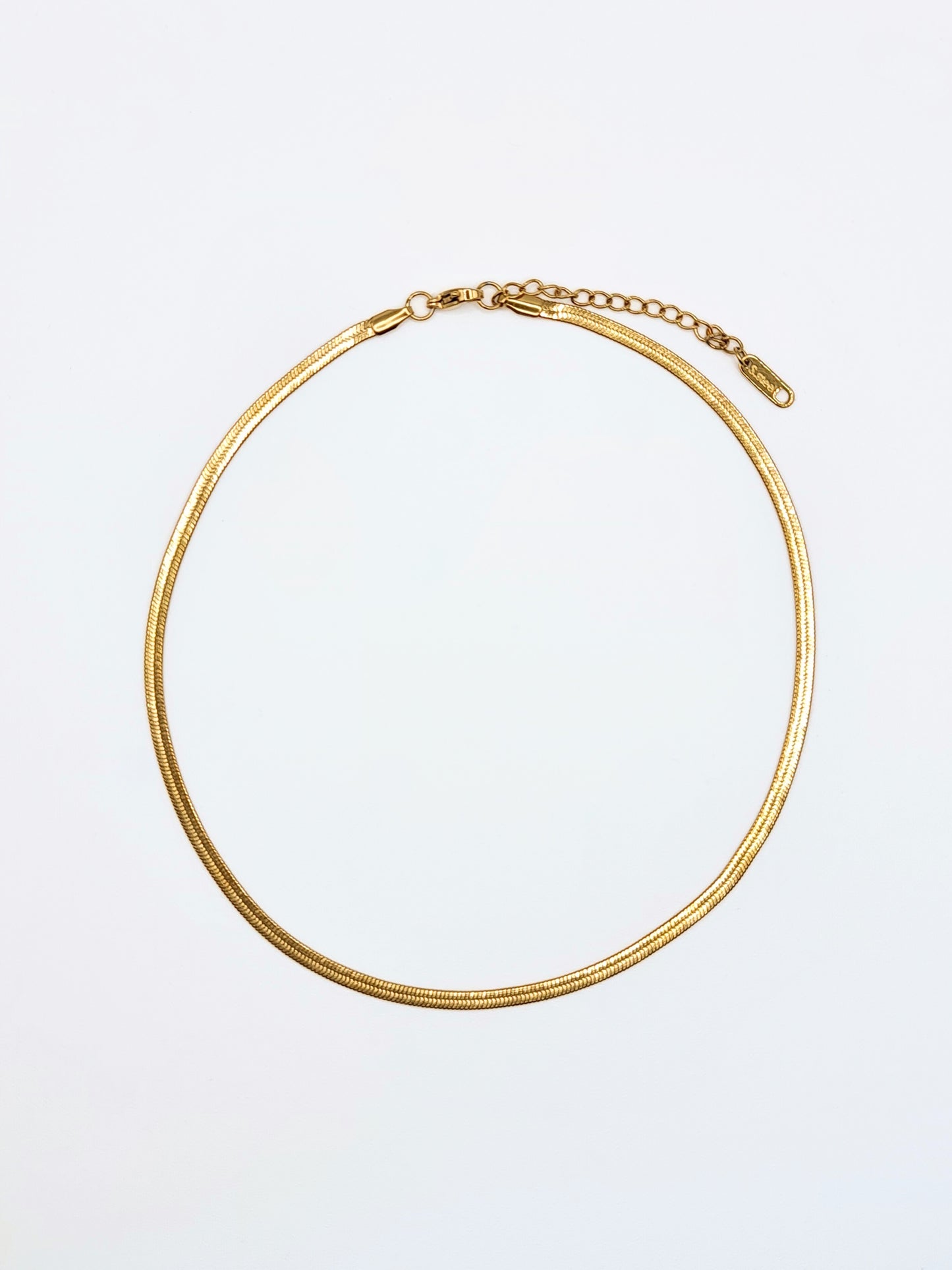 The Talisman Collection Coin & Snake Chain Necklace Set in 18k Gold Plated Stainless Steel.