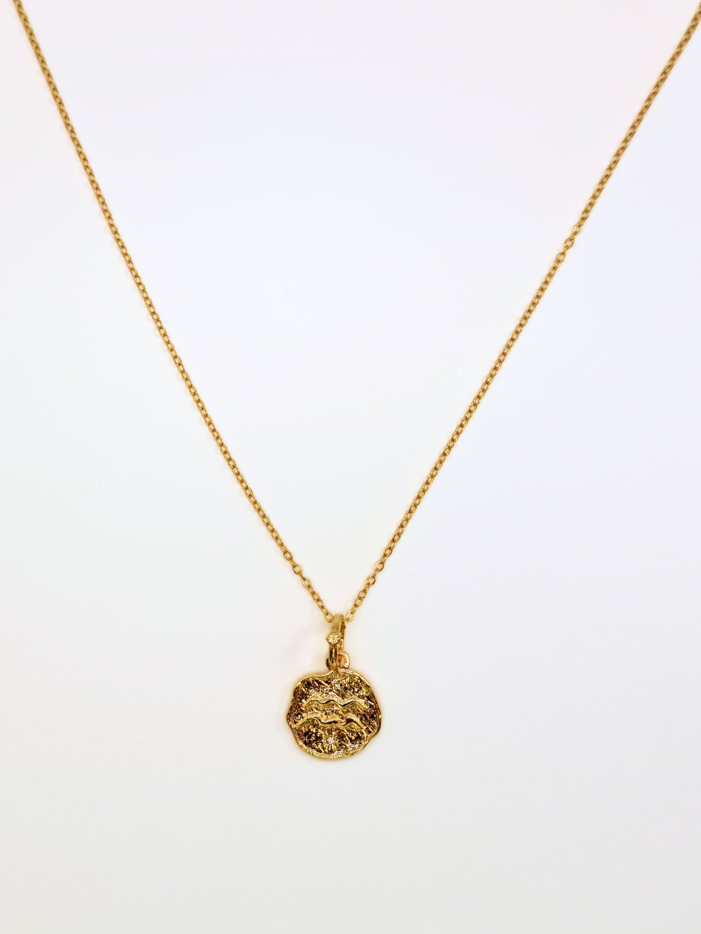 The Talisman Collection Aquarius 18k Gold Plated Tarnish-Free Zodiac Pendant Necklace