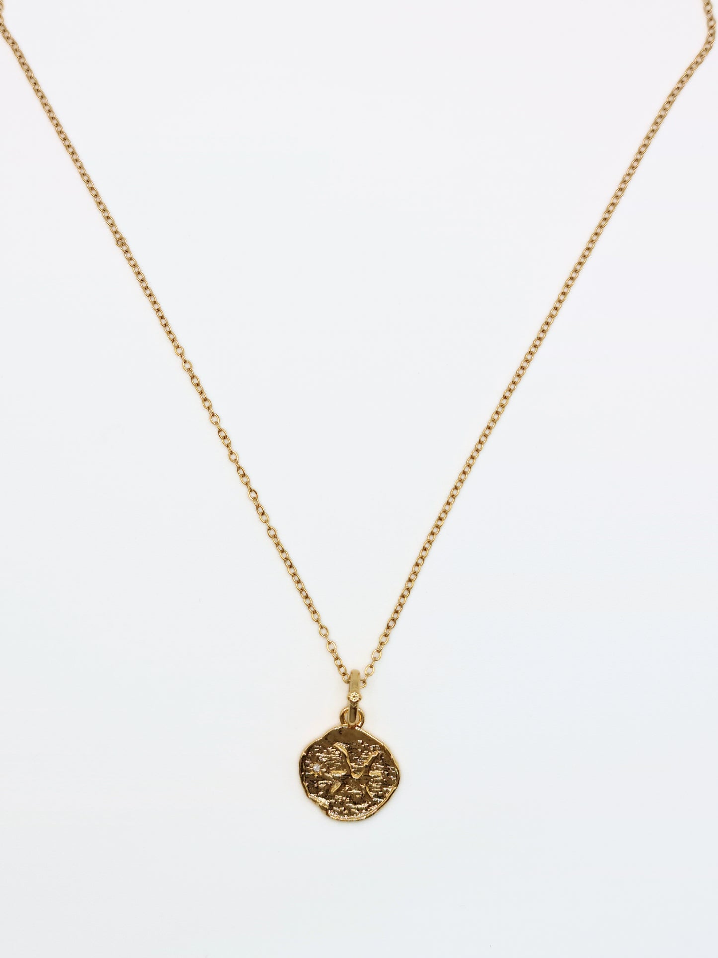 The Talisman Collection Pisces 18k Gold Plated Tarnish-Free Zodiac Pendant Necklace