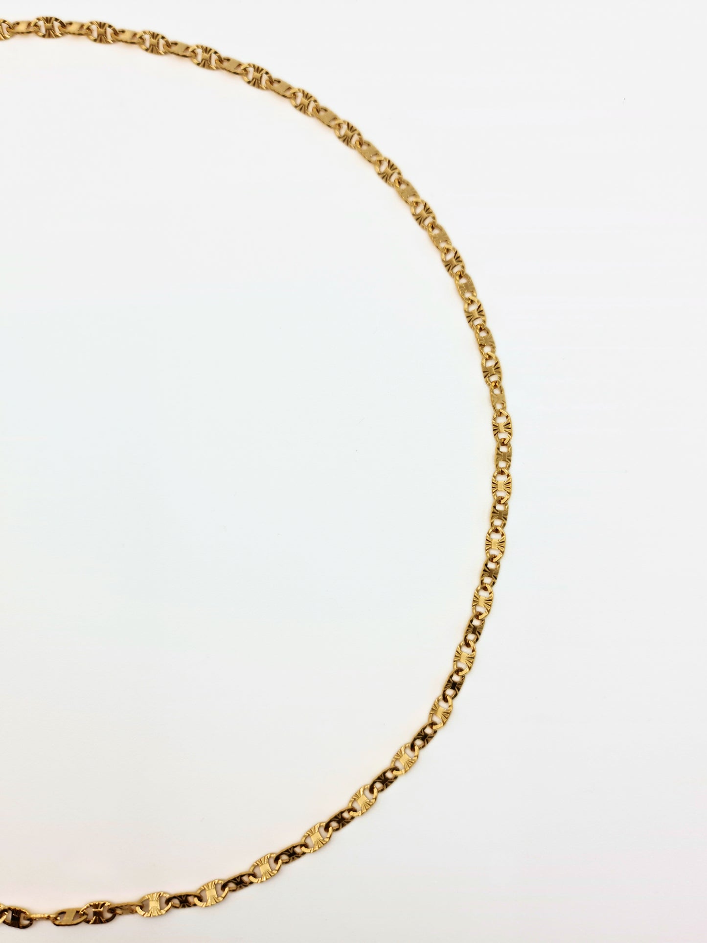 The Farah 18k Gold Plated Tarnish Free Delicate Textured Chain Necklace.