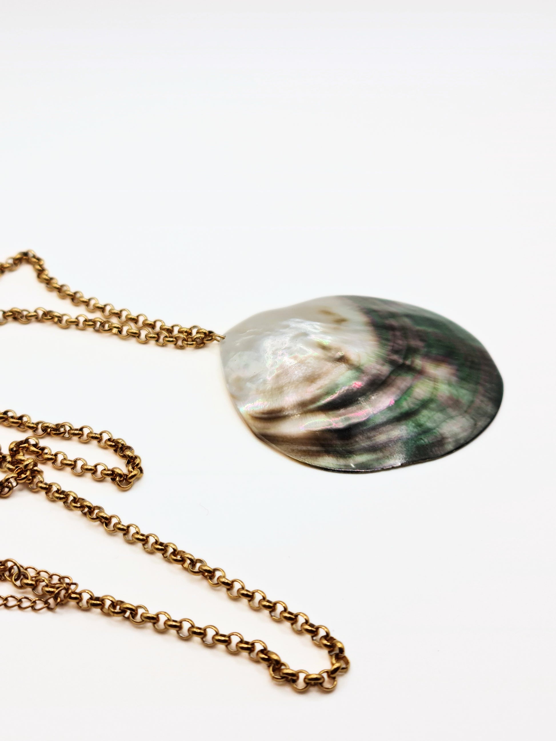 gold-real-natural-shell-collar-necklace-summer-jewellery-stainless-steel-tarnish-free-jewellery-waterproof-ember-and-stone-3_59a2fa3e-43cd-4396-8567-5d71ff8d13bd