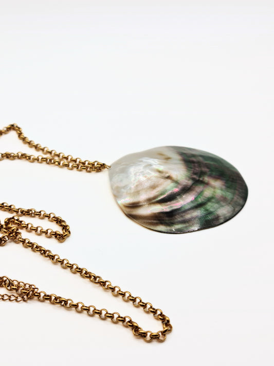 gold-real-natural-shell-collar-necklace-summer-jewellery-stainless-steel-tarnish-free-jewellery-waterproof-ember-and-stone-3_59a2fa3e-43cd-4396-8567-5d71ff8d13bd