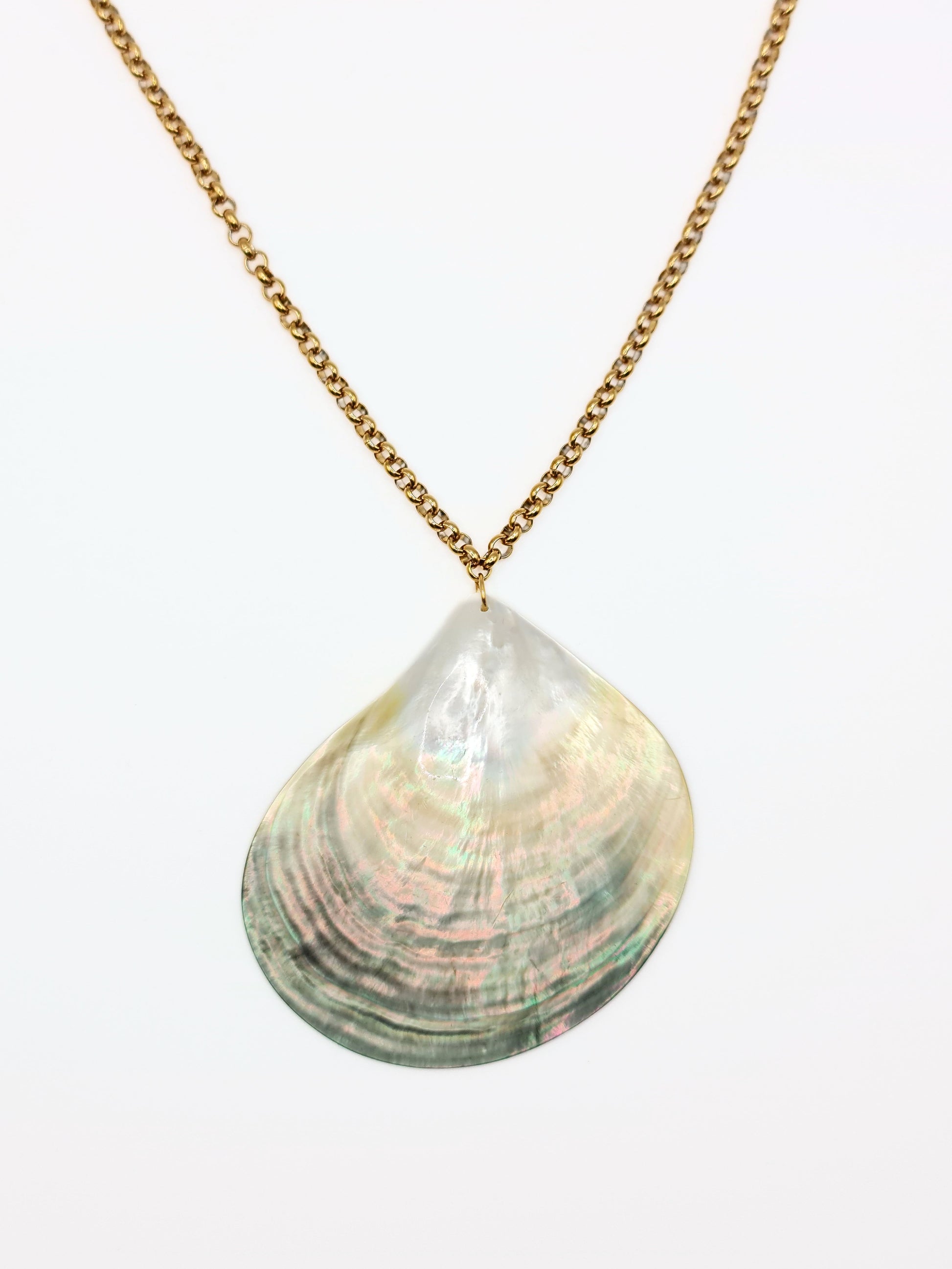 gold-real-natural-shell-collar-necklace-summer-jewellery-stainless-steel-tarnish-free-jewellery-waterproof-ember-and-stone-3_59a2fa3e-43cd-4396-8567-5d71ff8d13bd