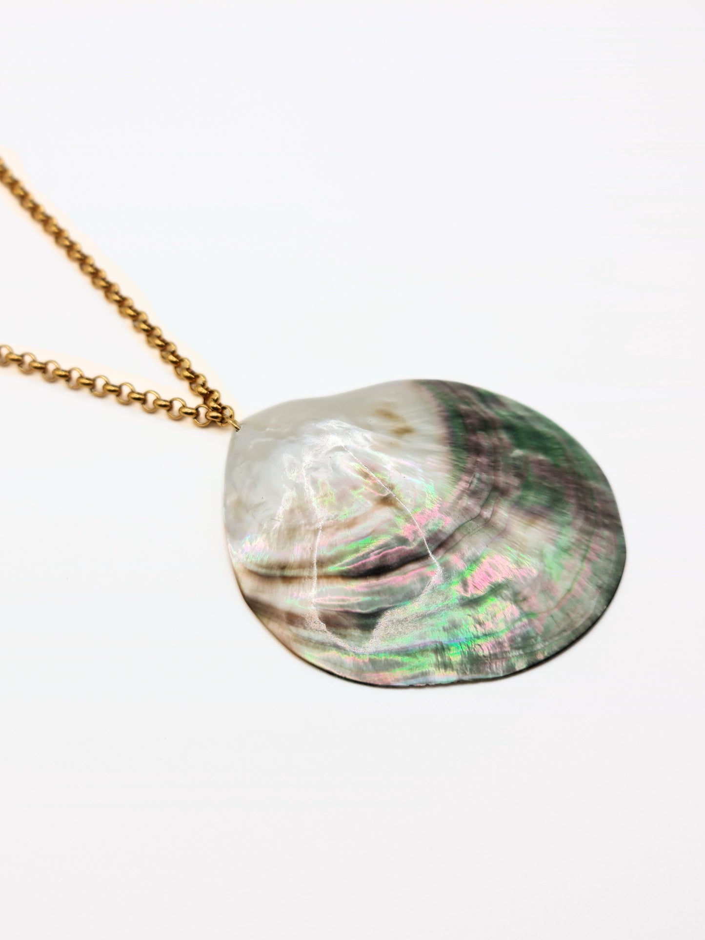 gold-real-natural-shell-collar-necklace-summer-jewellery-stainless-steel-tarnish-free-jewellery-waterproof-ember-and-stone-3_59a2fa3e-43cd-4396-8567-5d71ff8d13bd
