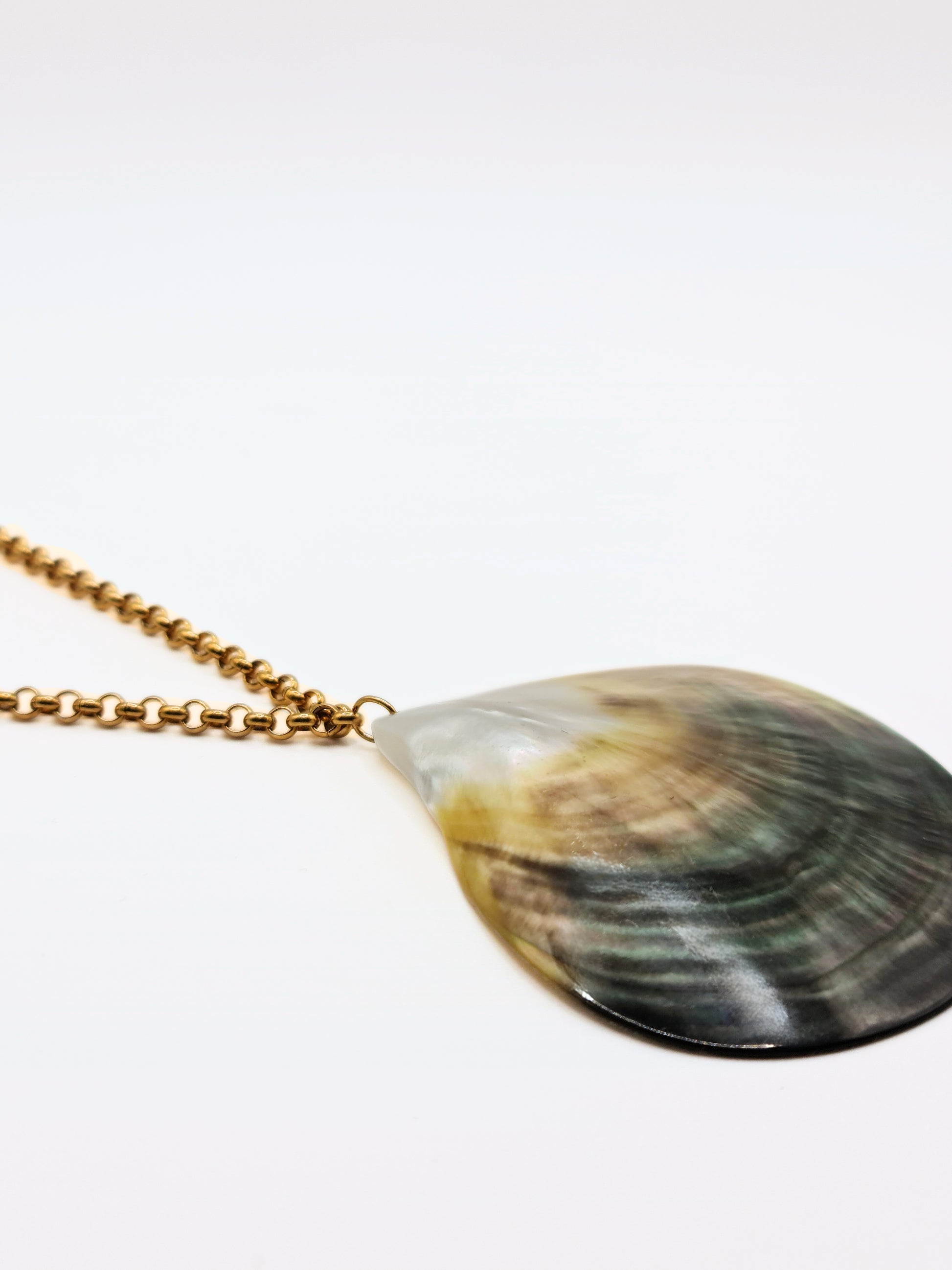 gold-real-natural-shell-collar-necklace-summer-jewellery-stainless-steel-tarnish-free-jewellery-waterproof-ember-and-stone-3_59a2fa3e-43cd-4396-8567-5d71ff8d13bd