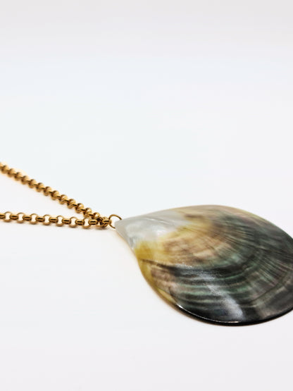 gold-real-natural-shell-collar-necklace-summer-jewellery-stainless-steel-tarnish-free-jewellery-waterproof-ember-and-stone-3_59a2fa3e-43cd-4396-8567-5d71ff8d13bd