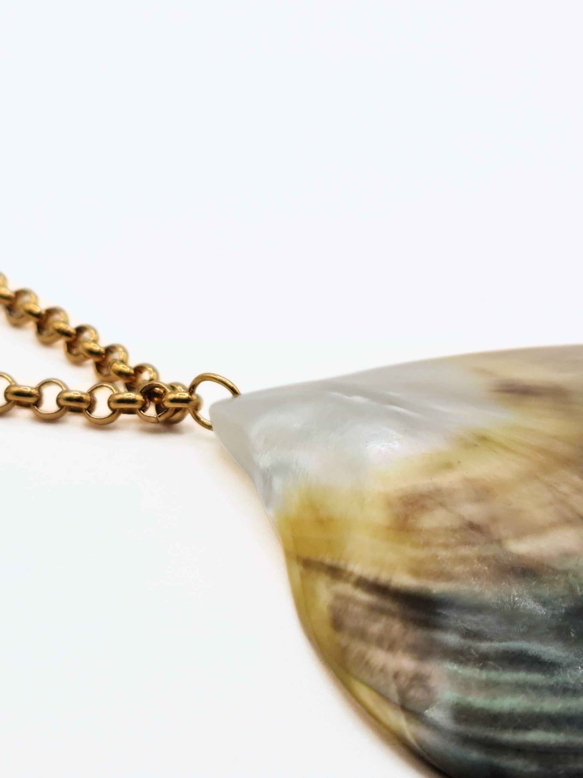 gold-real-natural-shell-collar-necklace-summer-jewellery-stainless-steel-tarnish-free-jewellery-waterproof-ember-and-stone-3_59a2fa3e-43cd-4396-8567-5d71ff8d13bd