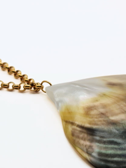 gold-real-natural-shell-collar-necklace-summer-jewellery-stainless-steel-tarnish-free-jewellery-waterproof-ember-and-stone-3_59a2fa3e-43cd-4396-8567-5d71ff8d13bd